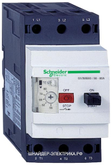 SE GV Автоматический выключатель с регулир. тепловой защитой (56-80A)