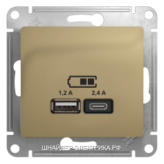 SE Glossa Титан Розетка 1-ая с с/з с USB тип A+C